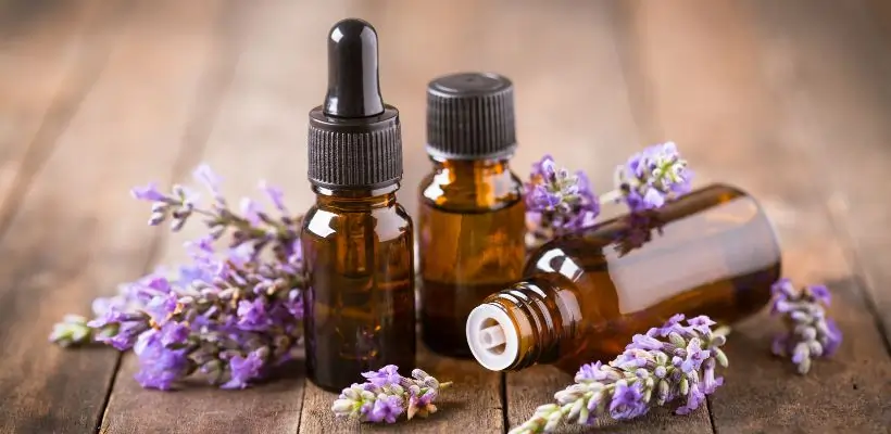 melhores cursos de aromateparia online com certificado valido da autalidade