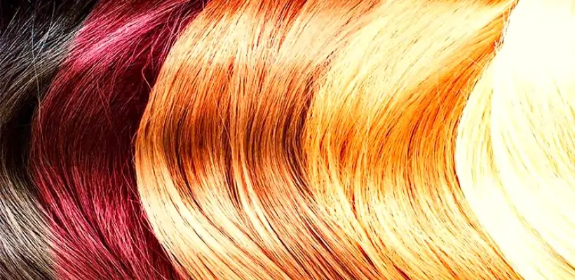 os melhores cursos de colorimetria online